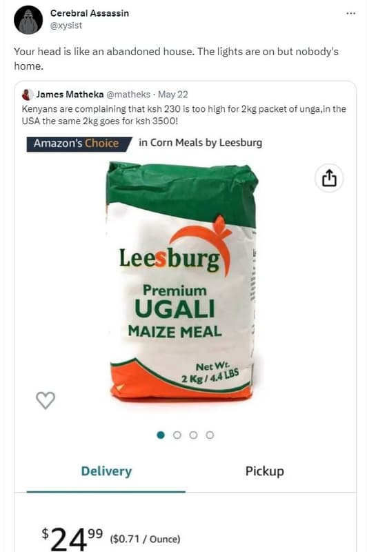 Cerebra assassin xysist your head is like an abandoned house. the lights are on