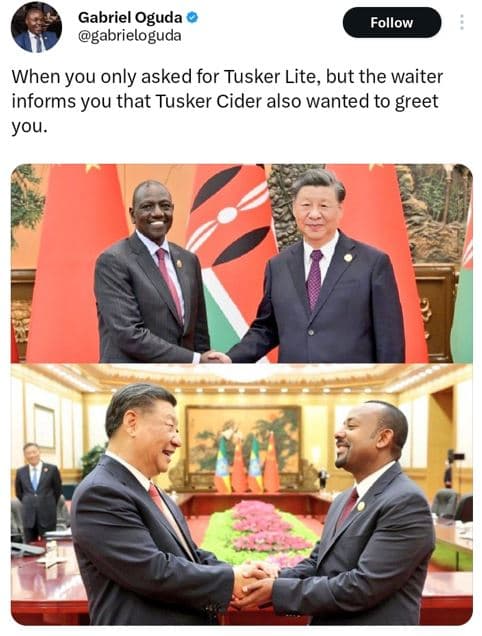 Gabriel oguda gabrieloguda follow when you only asked for tusker lite but the wa