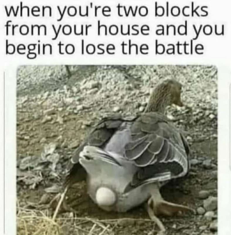 When you're two blocks from your house and you begin to lose the battle