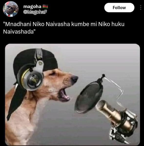 Magoha magohaf follow mnadhani niko naivasha kumbe mi niko huku naivashada