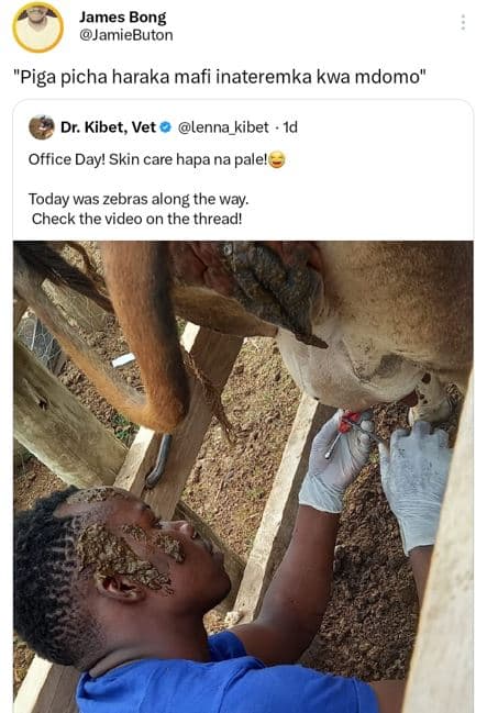 James bong jamiebuton piga picha haraka mafi inateremka kwa mdomo dr. kibet, vet