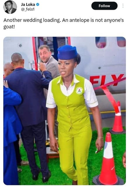 Ja loka felsi follow another wedding loading. an antelope is not anyone's goat!