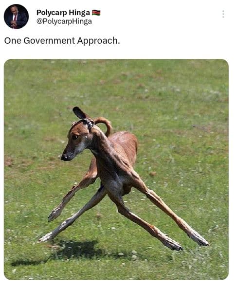 Polycarp hinga polycarphinga one government approach