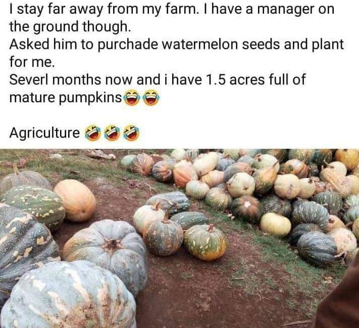 1 stay far away from my farm have a manager on the ground though. asked him to p