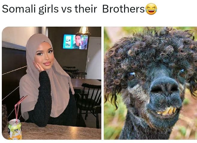 Somali girls vs their brothers