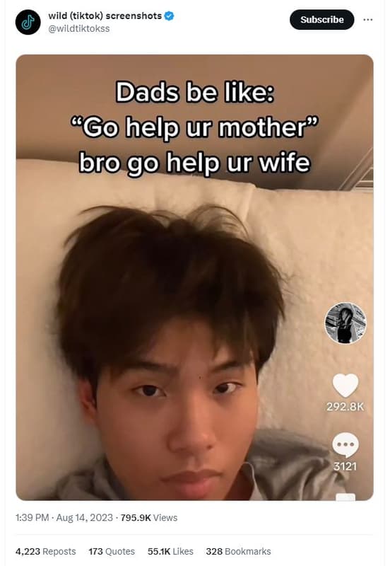 Wild tiktok screenshots wildtiktokss subscribe dads be like 'go help ur mother?