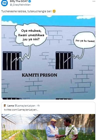 Billy the goat crazyneirobian tucnekeshe kabisa, tutakuchang bail oya mkubwa kwa