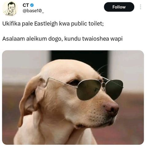 Ct basel0 follow ukifika pale eastleigh kwa public toilet asalaam aleikum dogo,