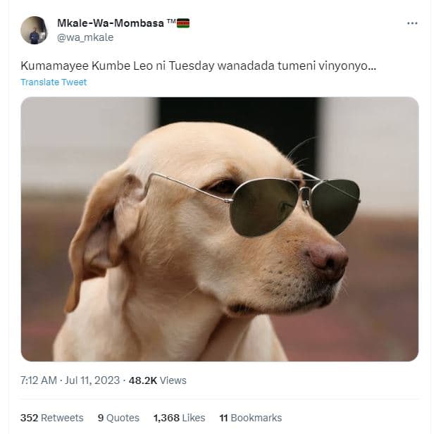 Mkalewamombasa wa_mkale kumamayee kumbe leo ni tuesday wanadada tumeni vinyonyo_