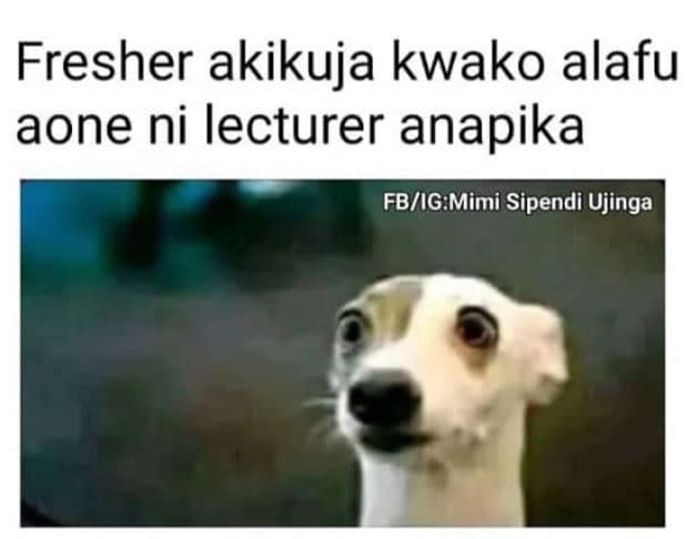 Fresher akikuja kwako alafu aone ni lecturer anapika fbigmimi sipendi ujinga