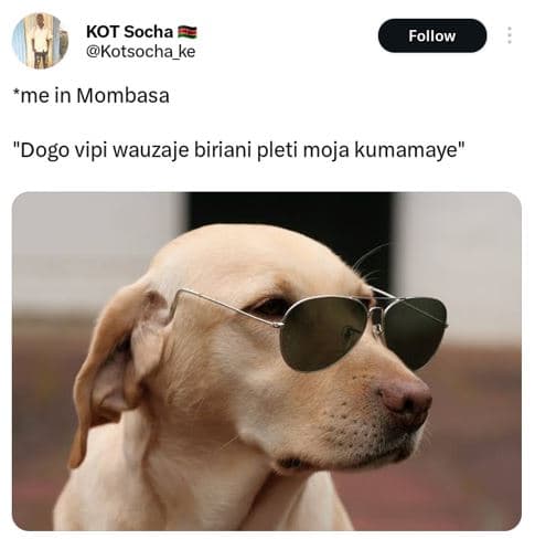Kot socha kotsocha_ke follow 'me in mombasa dogo vipi wauzaje biriani pleti moja