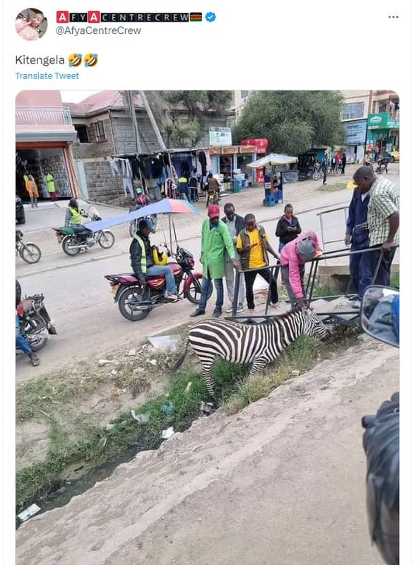 Genire ciriew afyacentrecrew kitengela 9 translate tweet