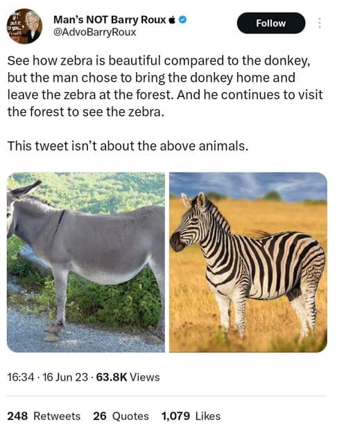 Man's not barry roux advobarryroux follow see how zebra is beautiful compared to