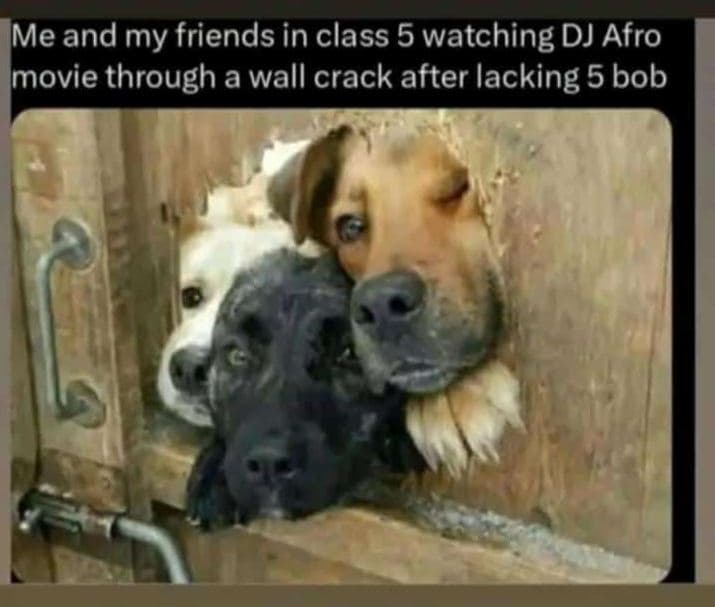 Me and my friends in class 5 watching dj afro movie through a wall crack after l