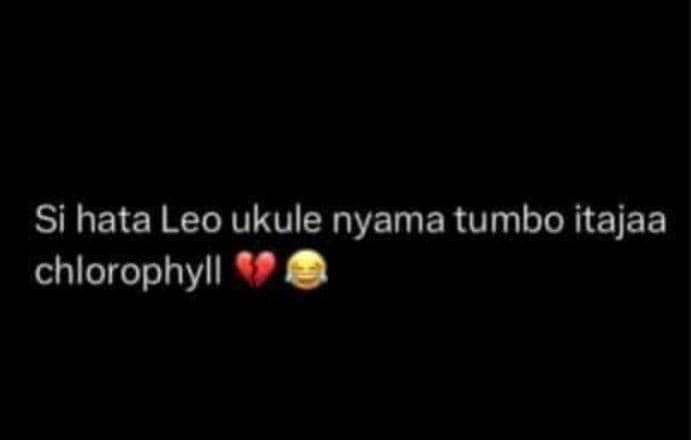 Si hata leo ukule nyama tumbo itajaa chlorophyll