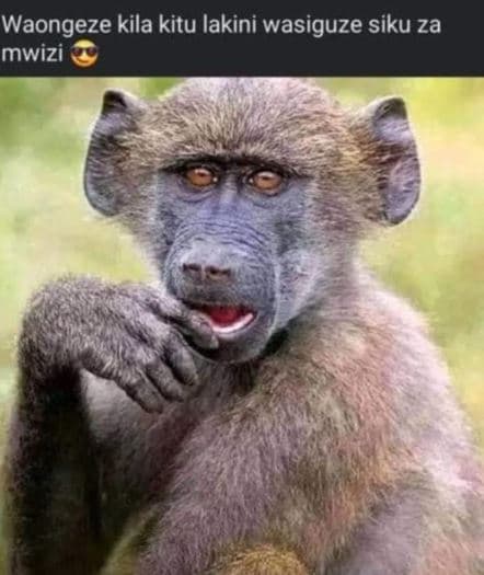 Waongeze kila kitu lakini wasiguze siku za mwizi