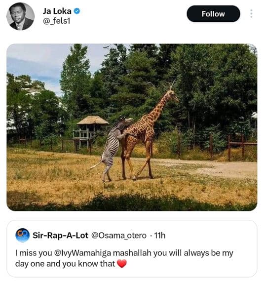 Ja loka felsı follow sirrapalot osama_otero 11h miss you ivywamahiga mashallah y