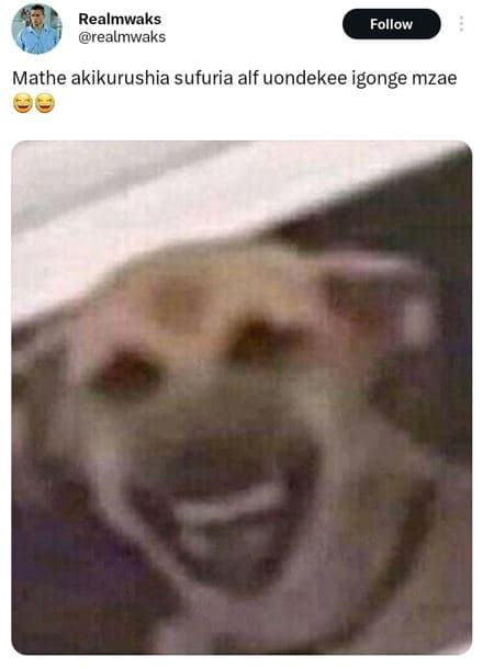 Realmwaks realmwaks follow mathe akikurushia sufuria alf uondekee igonge mzae