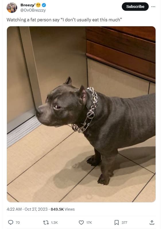 Breezy ovobrezzzy subscribe watching a fat person say don'tusually eat this much