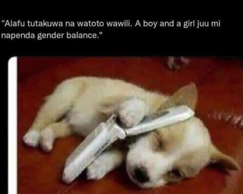 Alafu tutakuwa na watoto wawili. a boy and a girl juu mi napenda gender balance
