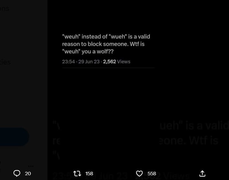 'weuh instead of wueh is a valid reason to block someone. wtf is 'weuh you a wol