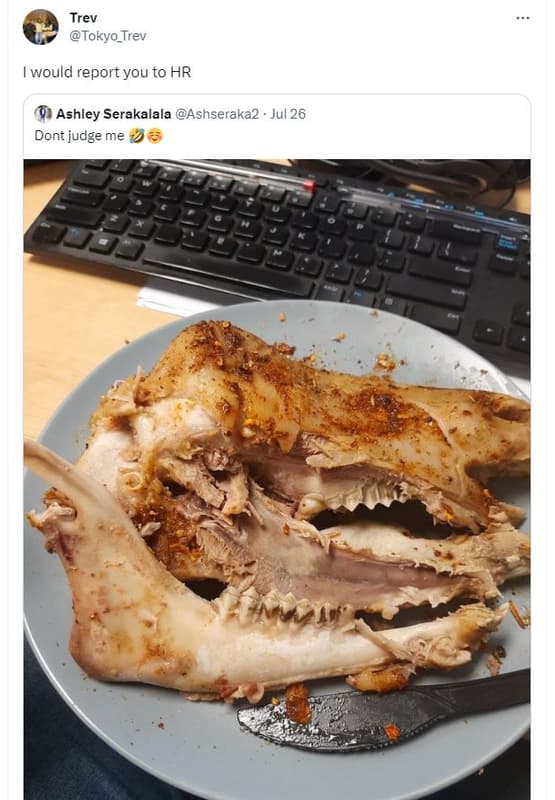 Trev tokyo_trev would report you to hr ashley serakalala ashseraka2 . jul 26 don