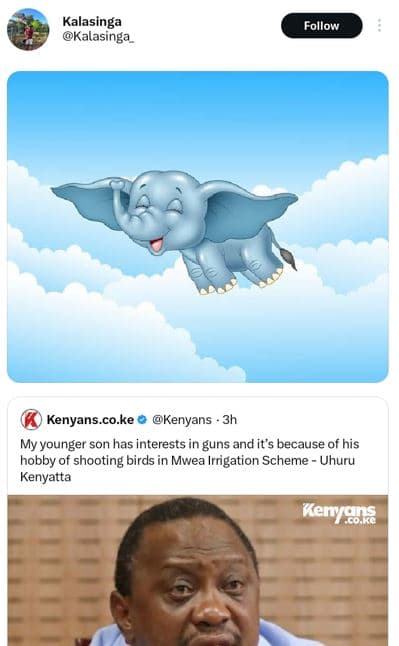 Kalasinga kalasınga follow kenyans.co.ke kenyans my younger son has interests in