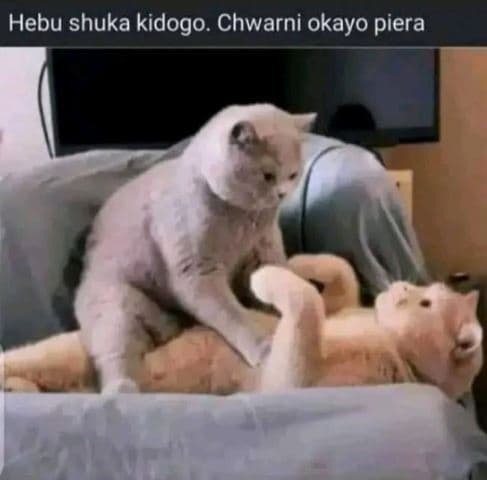 Hebu shuka kidogo. chwarni okayo piera