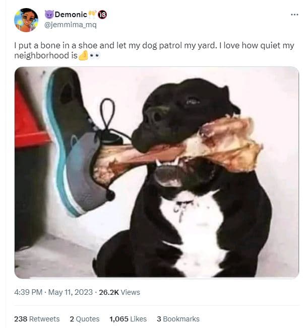 Demonic jemmima_mq put a bone in a shoe and let my dog patrol my yard. 1 love ho