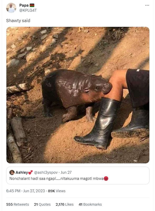 Papa kplg4t shawty said ashley ashl3yspov jun 27 nonchalant hadi saa ngapi_nitak