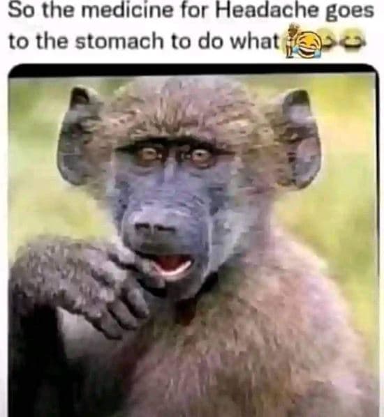 So the medicine for headache goes to the stomach to do what