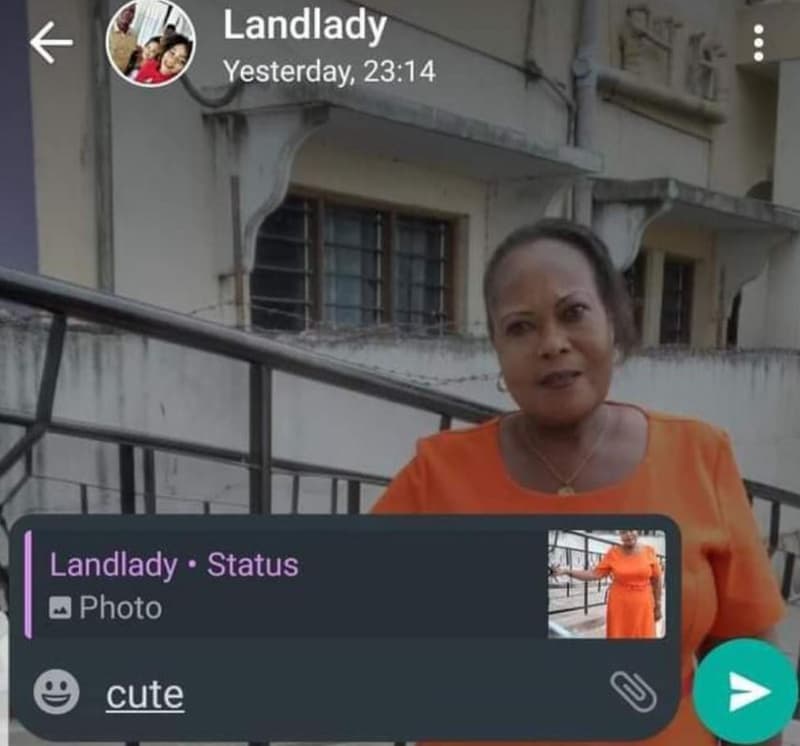 Landlady yesterday 23.14 landlady status photo cute