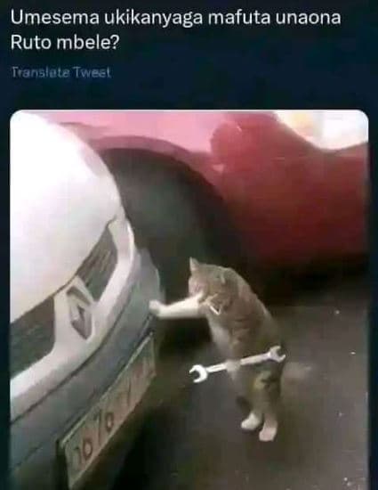 Umesema ukikanyaga mafuta unaona ruto mbele? transiole tweer