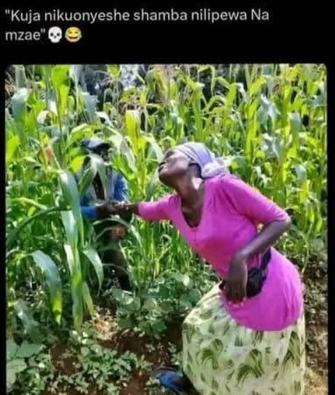 'kuja nikuonyeshe shamba nilipewa na mzae