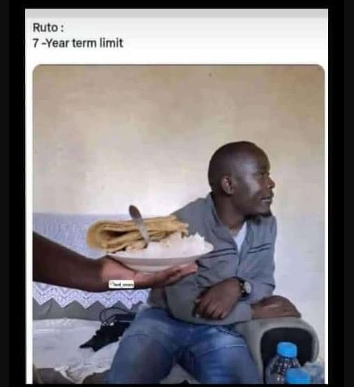 Ruto 7year term limit