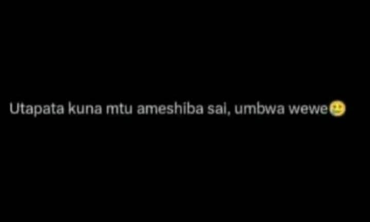 Utapata kuna mtu ameshiba sal, umbwa wewe