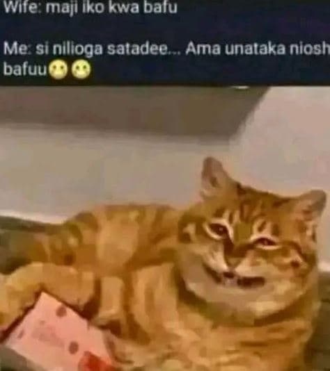 Wife majl iko kwa balu me si nilioga satadee ama unalaka niosh baluu