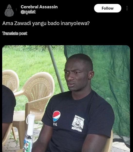 Cerebral assassin ysist follow ama zawadi yangu bado inanyolewa? tlanslata post