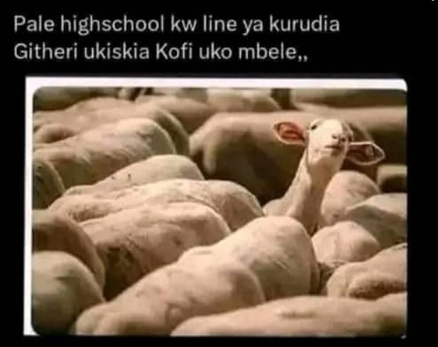 Pale highschool kw line ya kurudia githeri ukiskia kofi uko mbele ,