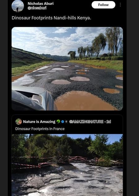 Nicholas aburi ghesnbui follow dinosaur footprints nandihills kenya. nature is a