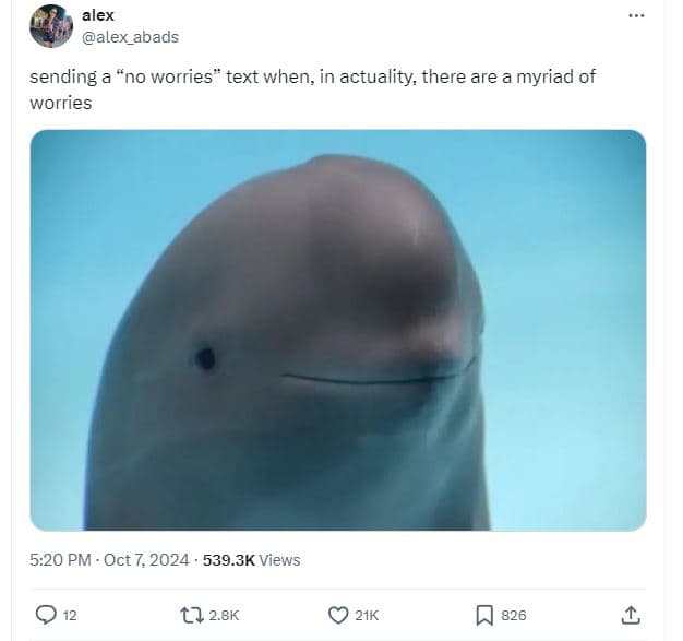 Alex alex_abads sending a no worries text when, in actuality there are a myriad