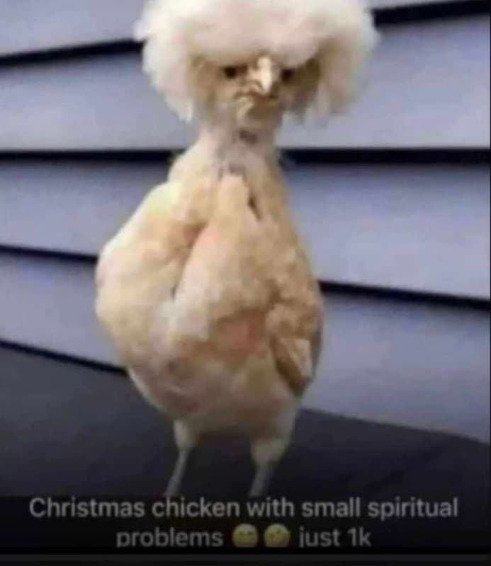 Christmas chicken with small spiritual problems just ik