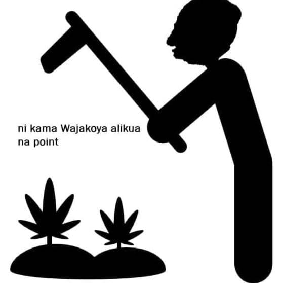 Ni kama wajakoya alikua na point