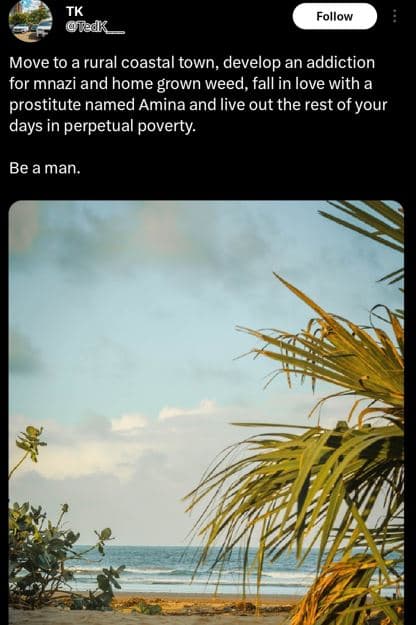 Follow ted move to a rural coastal town, develop an addiction for mnazi and home