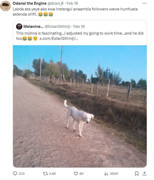 Odansi the engine dnxn_0 feb 16 labda ata yeye ako kwa instangui anaambia follow