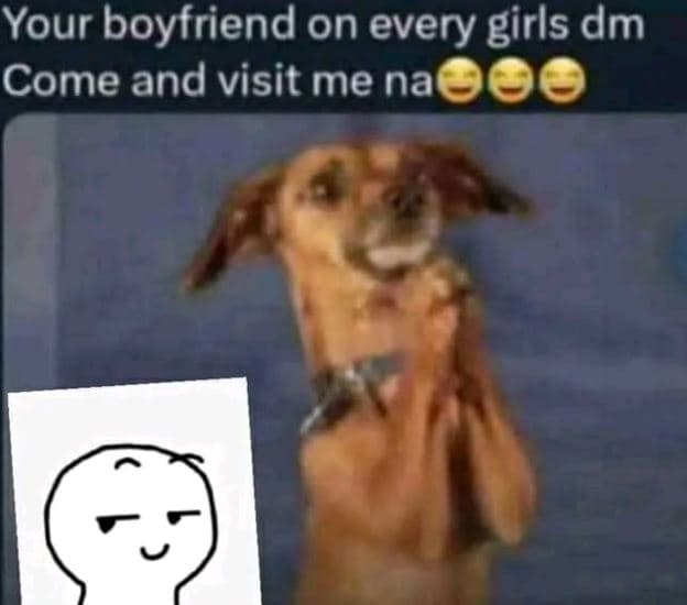 Your boyfriend on every girls dm come and visit me na