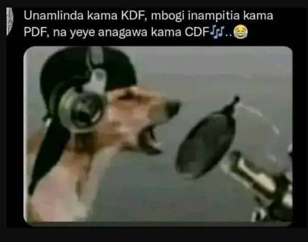 Unamlinda kama kdf, mbogi inampitia kama pdf, na yeye anagawa kama cdfjfi .
