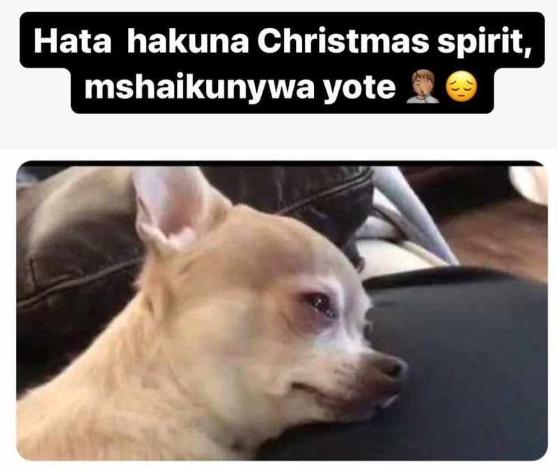 Hata hakuna christmas spirit, mshaikunywa yote