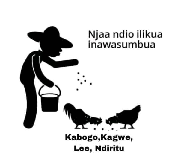 Njaa ndio ilikua inawasumbua kabogo,kagwe, lee, ndiritu