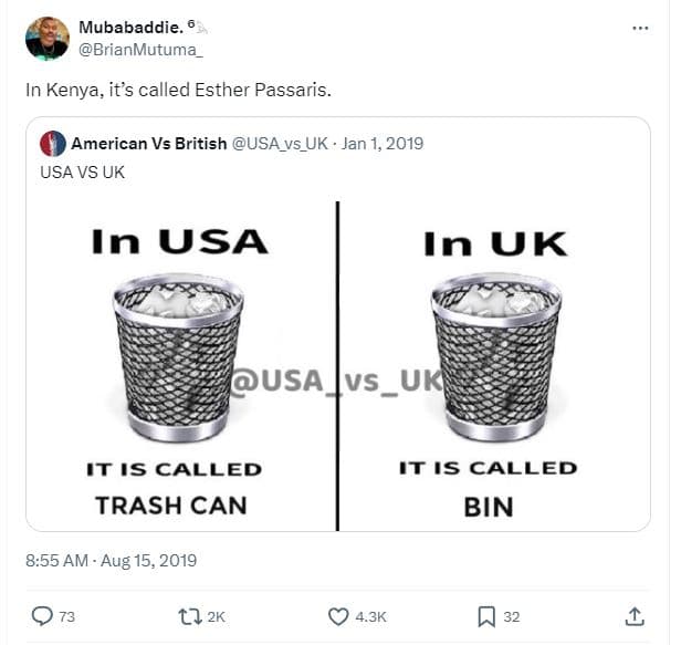 Mubabaddie brianmutuma_ kenya, its called esther passaris american vs british us
